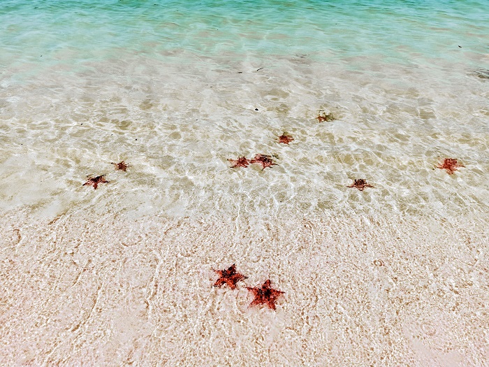 phu-quoc-when-to-go-phu-quoc-places-to-visit-travel-guide- rach-vem-starfish